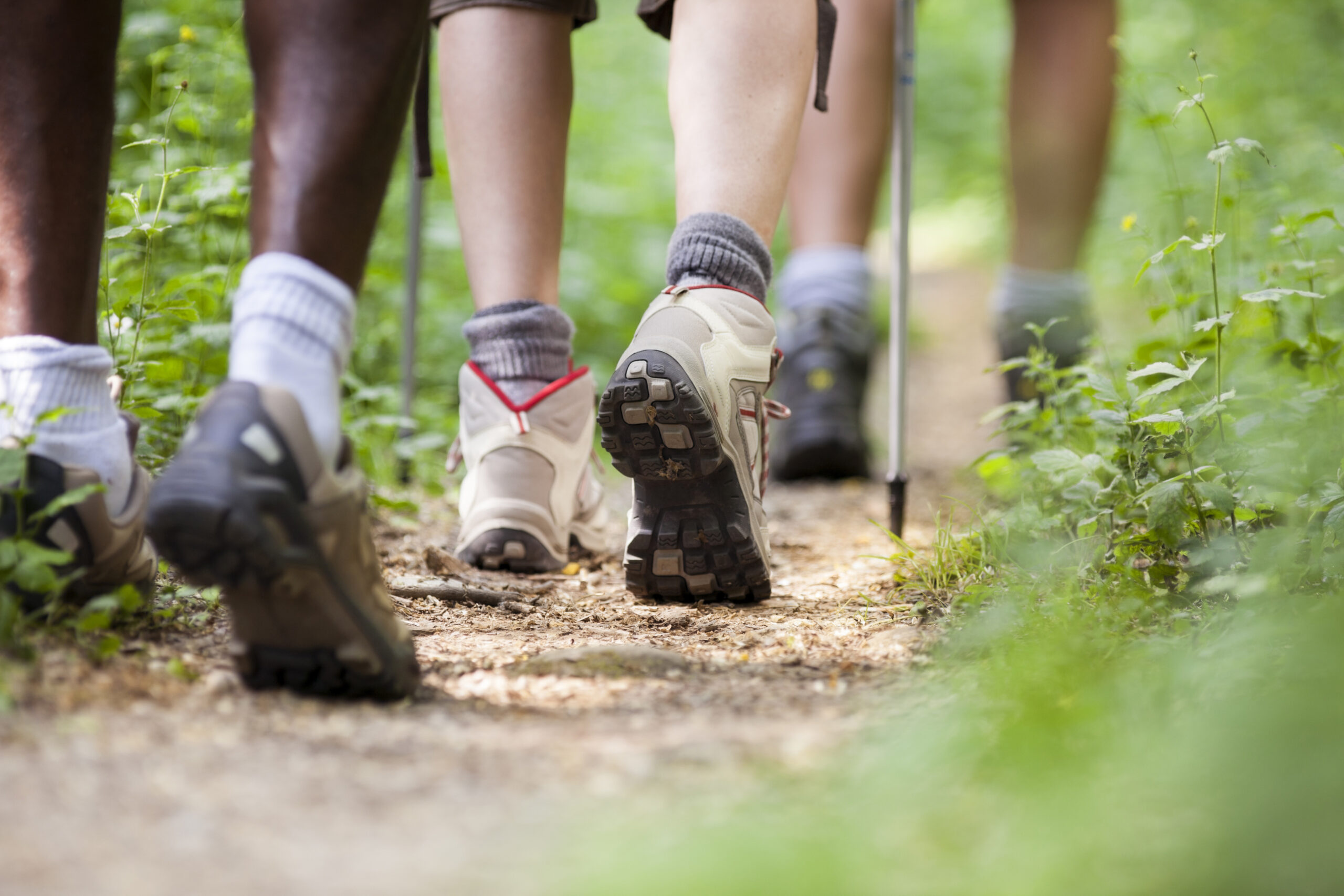 Explore East Cambridgeshire - close up on hikers shoes and poles walking along path surrounded by grass